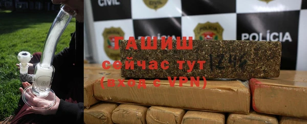 сатива Верея