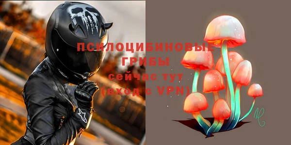 ешки Верхний Тагил