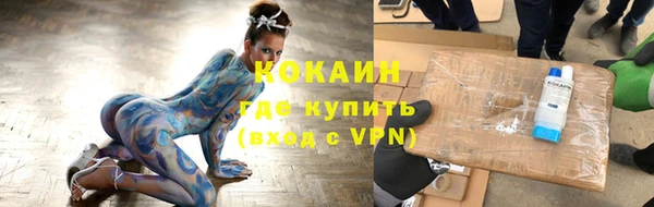 сатива Верея