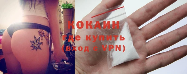 PSILOCYBIN Волосово