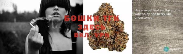 ешки Верхний Тагил