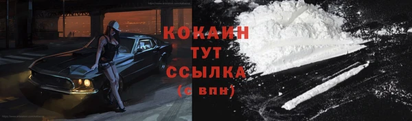 ешки Верхний Тагил