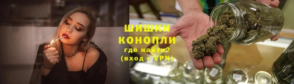 сатива Верея