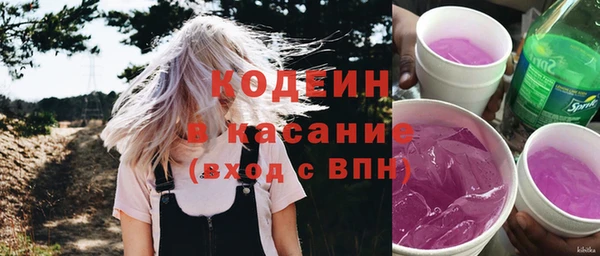 сатива Верея