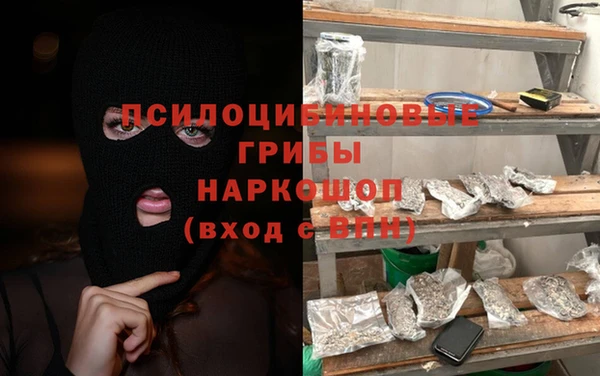 сатива Верея