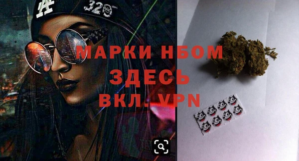 сатива Верея