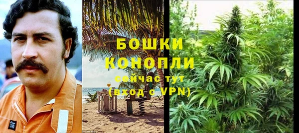 PSILOCYBIN Волосово
